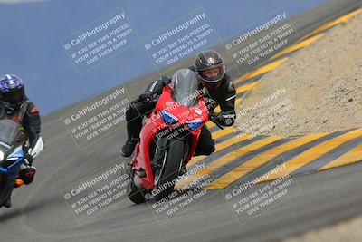 media/Jan-14-2023-SoCal Trackdays (Sat) [[497694156f]]/Turn 12 (120pm)/